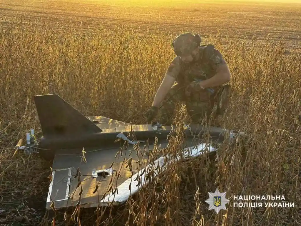 На Сумщині знайшли ворожий безпілотник-імітатор у полі