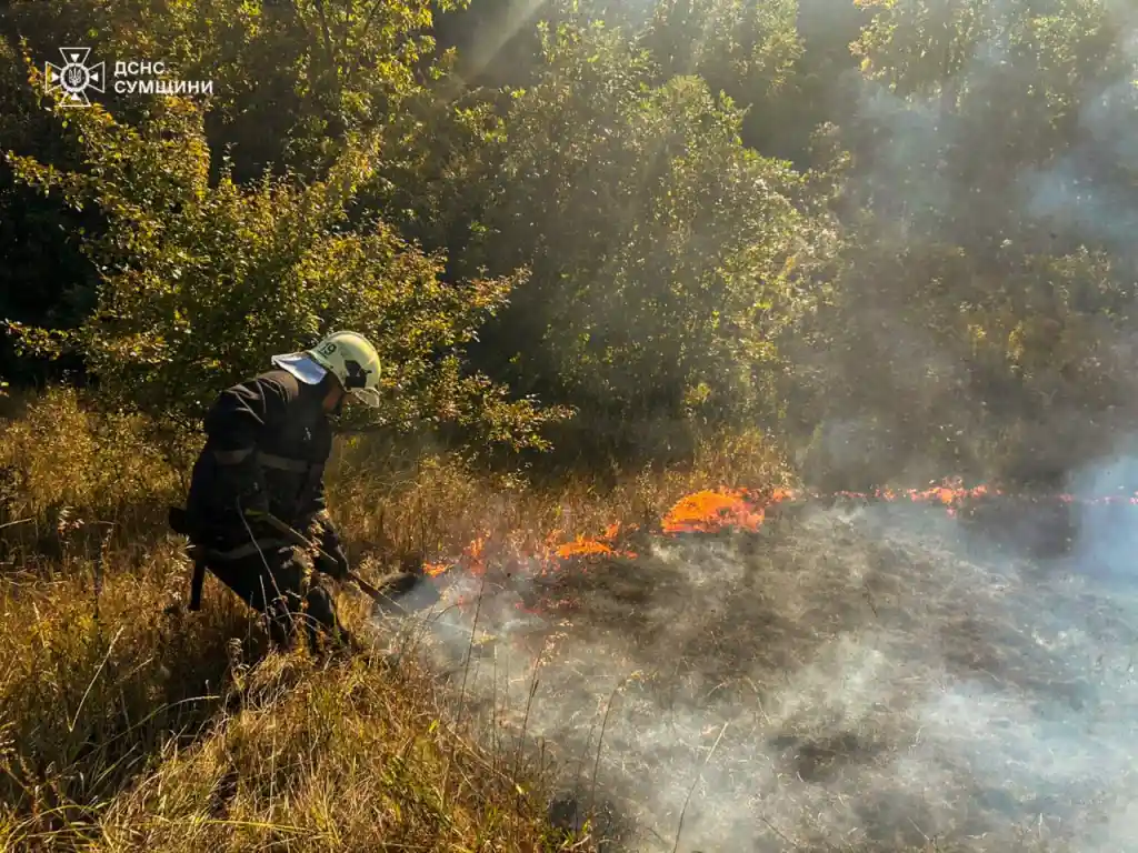 На Сумщині рятувальники десять разів гасили пожежі на відкритих територіях