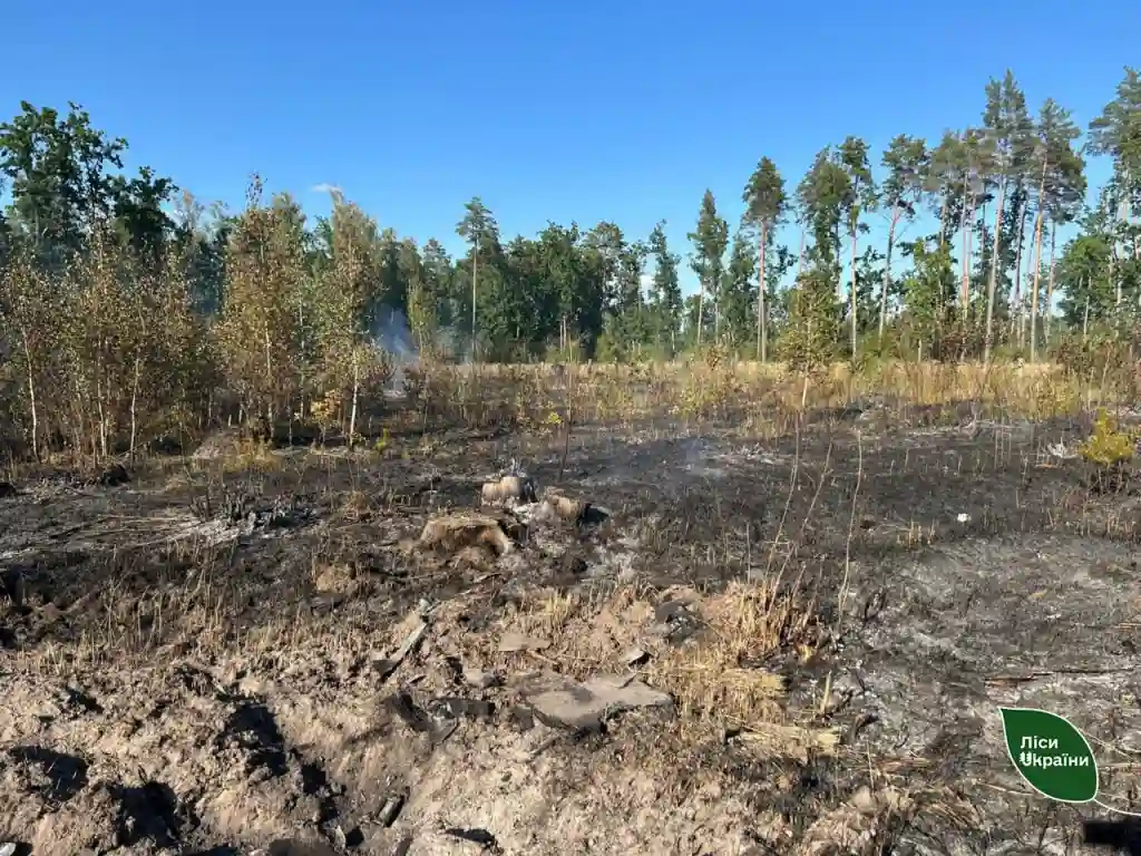 На Сумщині лісівники ліквідували дві пожежі, спричинені ворожими ударами