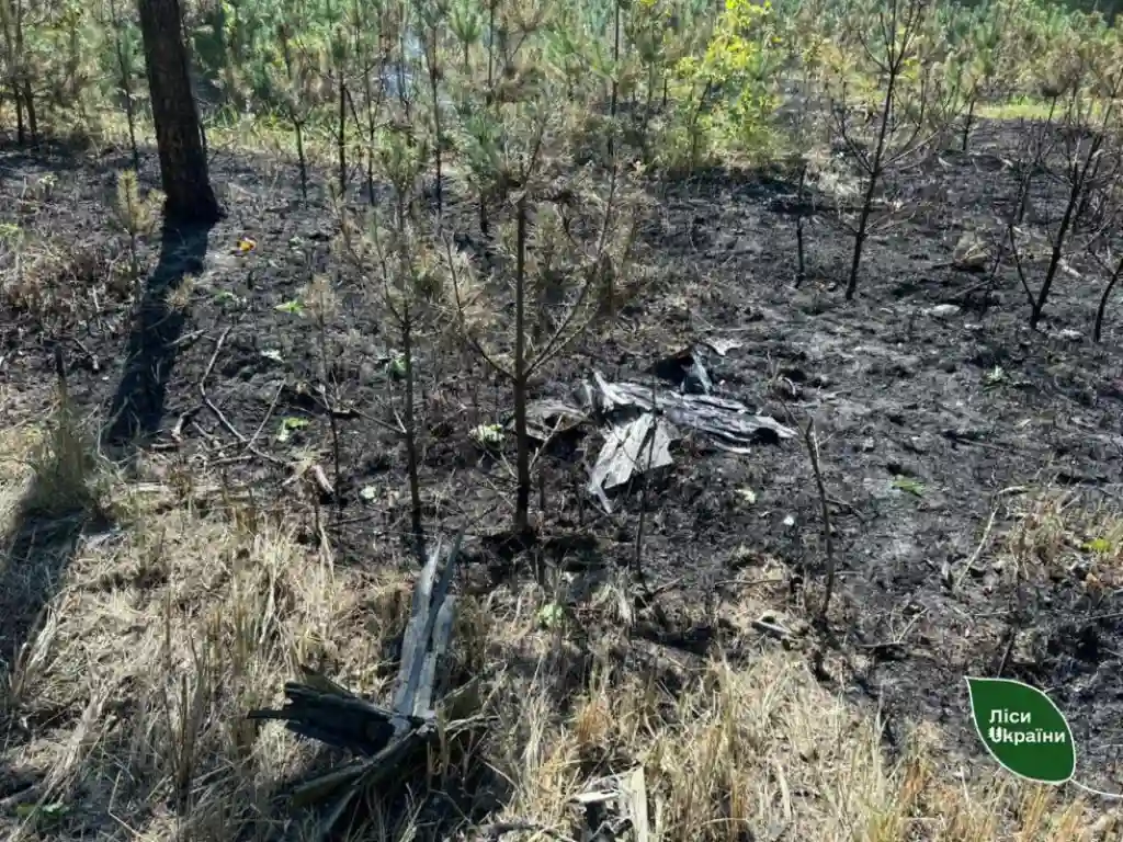 На Сумщині лісівники ліквідували дві пожежі, спричинені ворожими ударами