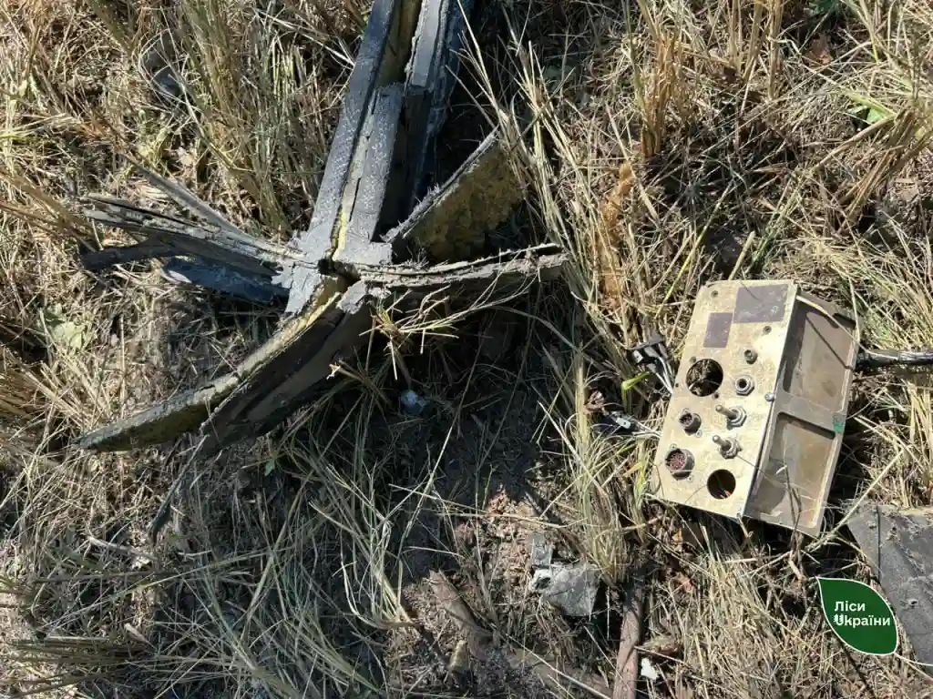 На Сумщині лісівники ліквідували дві пожежі, спричинені ворожими ударами