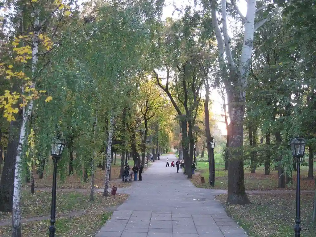  У Сумах зафіксували забруднення ґрунтів у парку ім. Кожедуба
