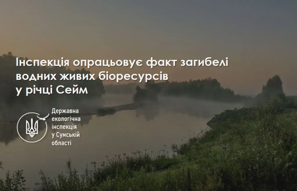 На Сумщині перевіряють воду в Сеймі після масової загибелі риби