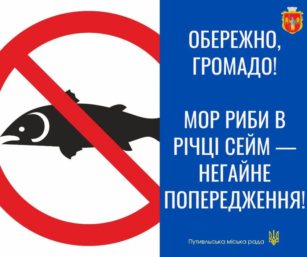 На Путивльщині знову зафіксували масову загибель риби в Сеймі