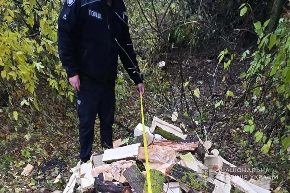 На Сумщині поліцейські затримали групу чоловіків, які незаконно вирубували дерева поблизу Білозерки