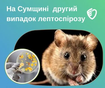 На Сумщині зареєстрований другий випадок лептоспірозу в цьому році