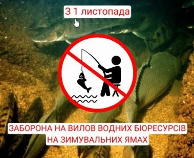 На Сумщині з 1 листопада запроваджено заборону на риболовлю у зимувальних ямах