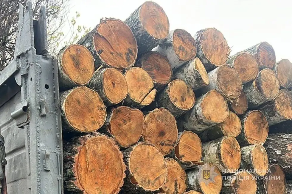 На Сумщині поліція виявила незаконне перевезення деревини