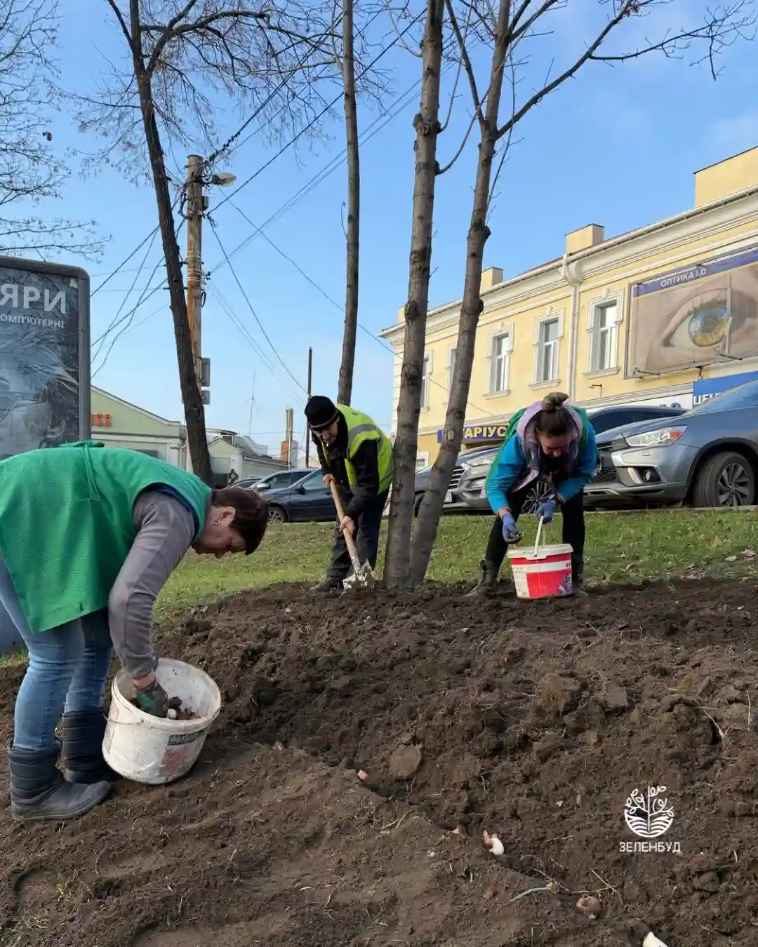 У Сумах на Козацькому Валу з’явилися сотні нових тюльпанів