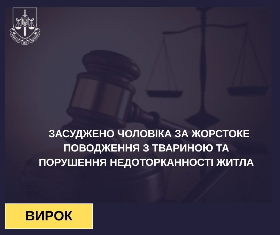 У Сумах чоловік отримав умовний термін за каліцтво сусідської кішки