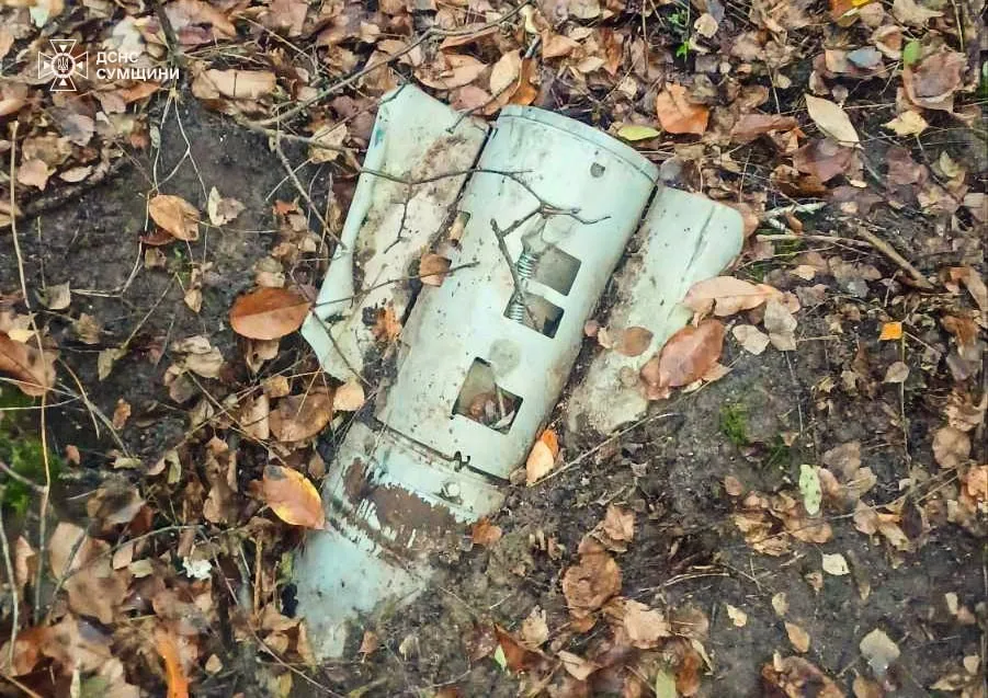 На Сумщині за тиждень піротехніки ДСНС знешкодили 47 вибухонебезпечних предметів