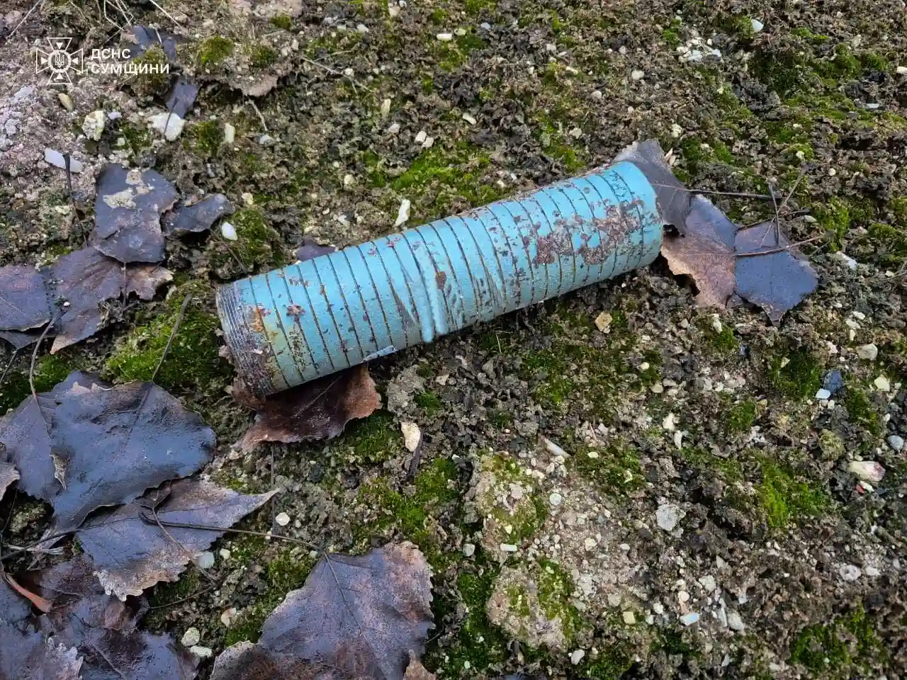 Піротехніки ДСНС продовжують розмінування Сумщини: знищено 22 боєприпаси за тиждень