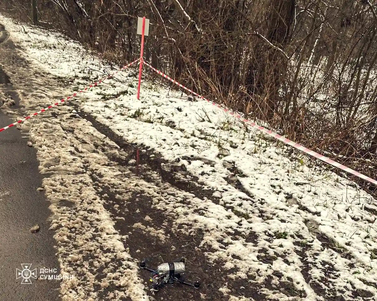 Сапери на Сумщині працюють без пауз: за тиждень знешкоджено шість вибухонебезпечних предметів