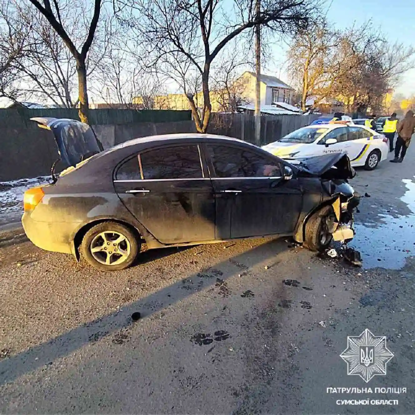 ДТП на вулиці Сергія Табали: некероване авто протаранило дерево, є постраждалі