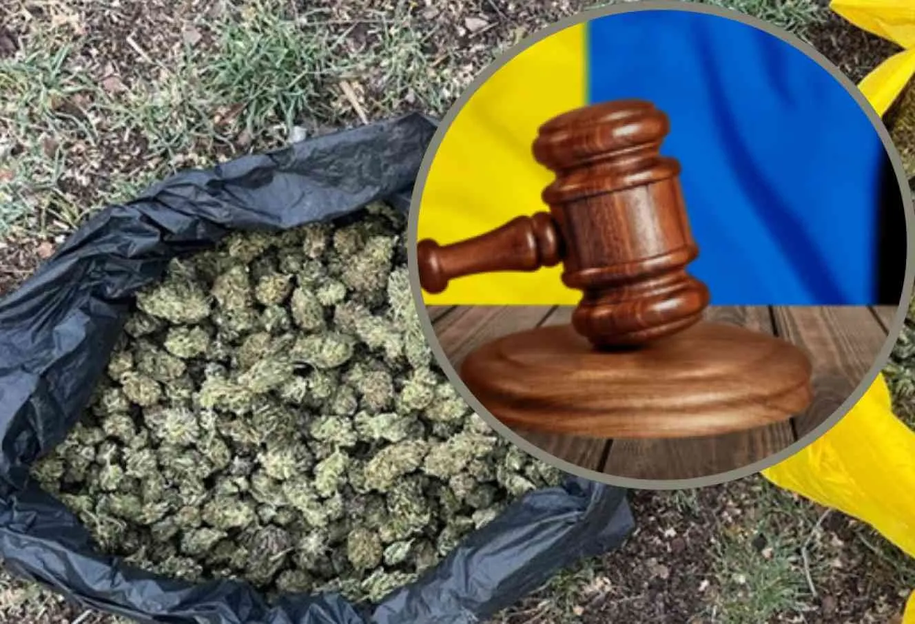 Понад кілограм канабісу та «притон» для знайомого: у Тростянці винесли вирок місцевому мешканцю