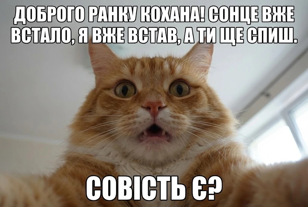 Доброго ранку, кохана: ніжні та романтичні картинки для особливого початку дня