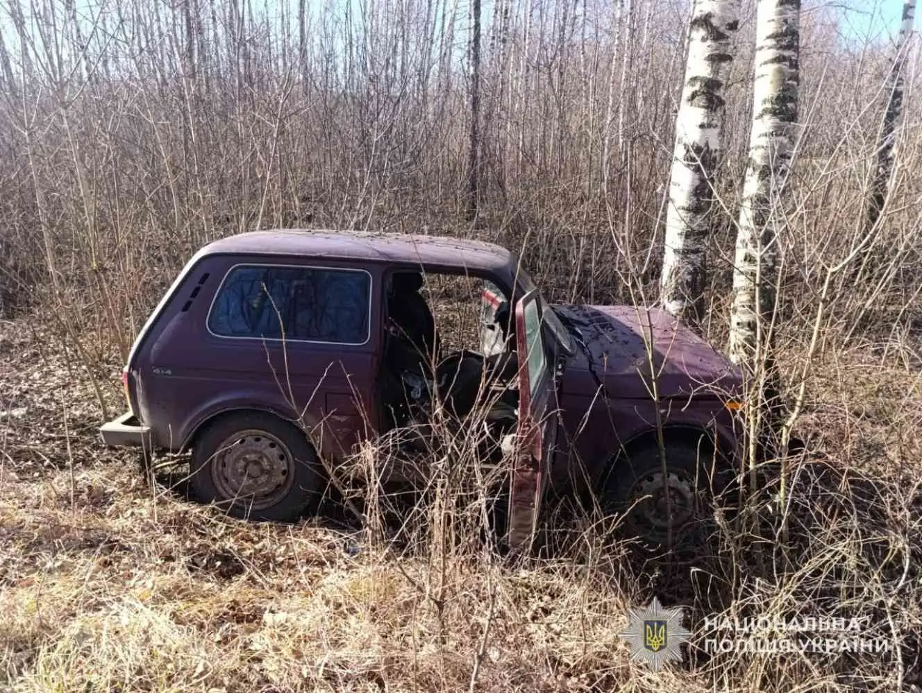 Аварія в селі Хухра: літній водій ВАЗу опинився в лікарні після зіткнення з деревом