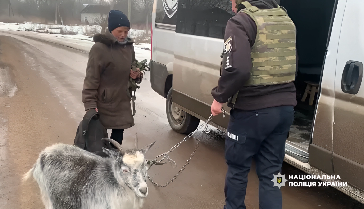 Рятувальна місія «Білих янголів»: із прикордоння Сумщини вивезли жінку разом із її тваринами