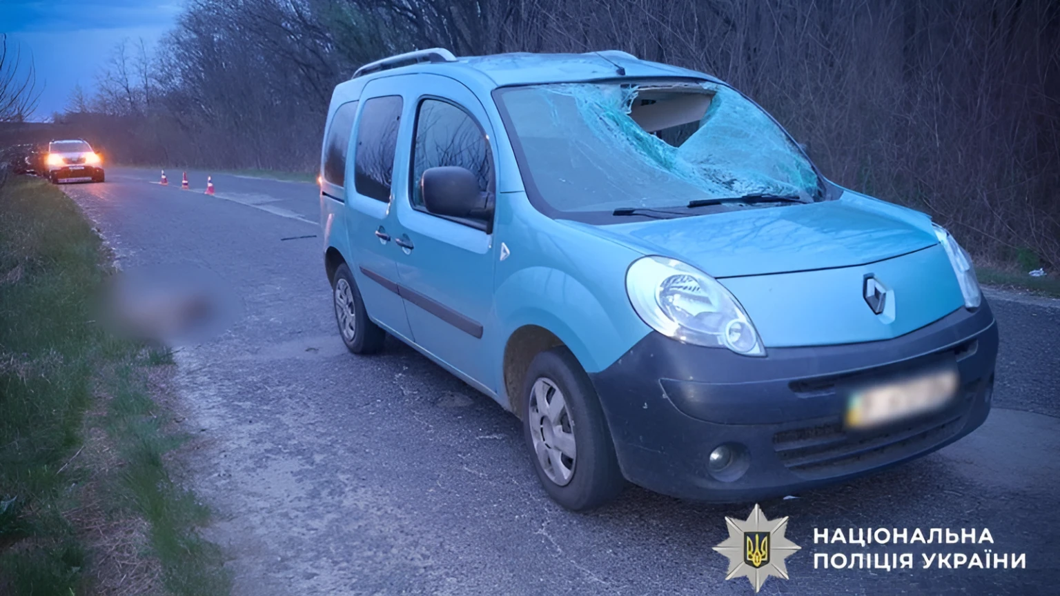 Госпіталізація дитини та загибель тварини: наслідки нічної ДТП на Полтавщині