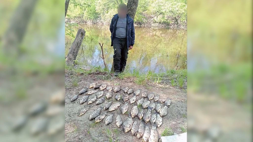 Понад 186 тисяч гривень збитків: на Кобеляччині викрили двох серійних браконьєрів